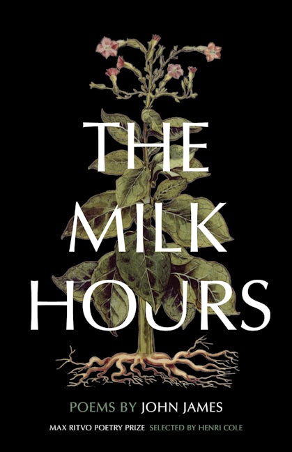 Book cover image for The Milk Hours ISBN: 9781571315366